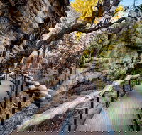 Kakadu National Park Cultural Experience - Winery Find