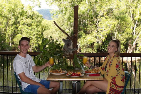 Hartley's Crocodile Adventures Breakfast With The Koalas - Winery Find 5