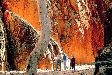 West MacDonnell Ranges Day Trip From Alice Springs - Winery Find 3