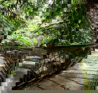 12 Apostles Eco-Friendly Great Ocean Road Iconic Adventure from Melbourne - Winery Find