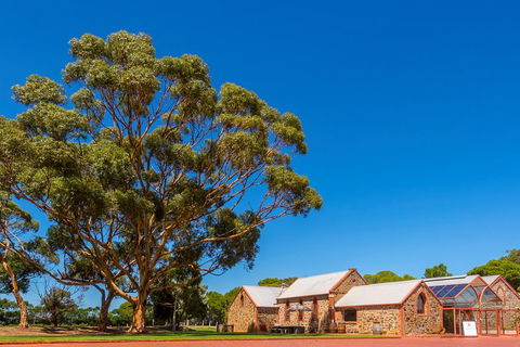 McLaren Vale And Glenelg Wine Tasting And Sightseeing (Half-day Afternoon) - Winery Find 5