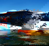 Paradise Jet Boating and Aquaduck Combo - Winery Find