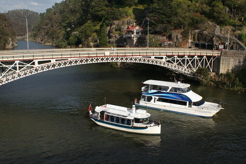 2.5 Hour Morning Discovery Cruise Including Sailing Into The Cataract Gorge - Winery Find 5