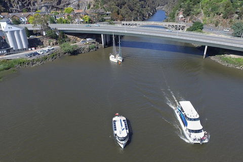 2.50 Hour Afternoon Discovery Cruise Including Cataract Gorge Departing At 3 Pm - Winery Find 5