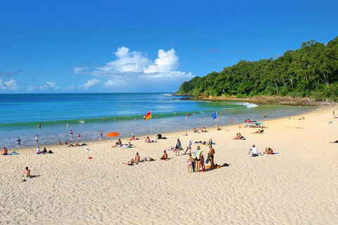 Noosa Everglades Serenity Cruise & Highlights Tour Inc. Lunch & Cruise - Winery Find 4