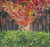 Margaret River Private Tour - Winery Find