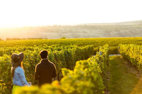Margaret River Private Tour - Winery Find 2