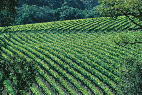 Margaret River Private Tour - Winery Find 4
