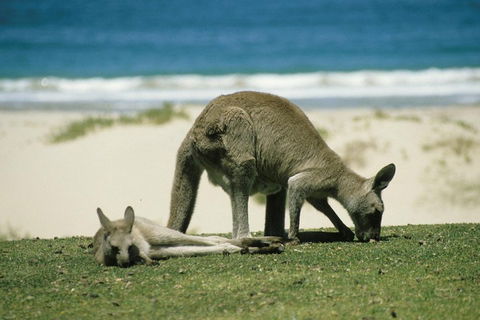 Great Ocean Road Highlights Tour - 2 Days, 1 Night - Winery Find 2