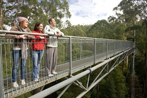 Adventure Sunset Three Day Great Ocean Road Tour - Winery Find 0