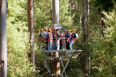 Adventure Sunset Three Day Great Ocean Road Tour - Winery Find 1
