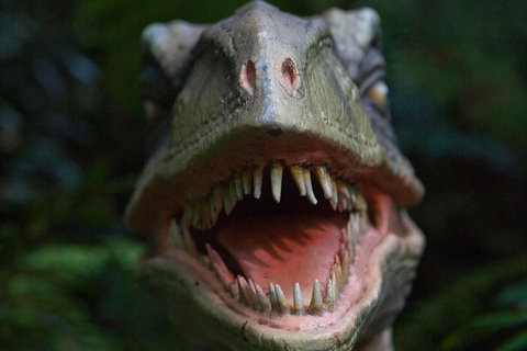 Adventure Sunset Three Day Great Ocean Road Tour - Winery Find 3