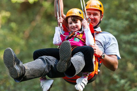 Adventure Sunset Three Day Great Ocean Road Tour - Winery Find 4