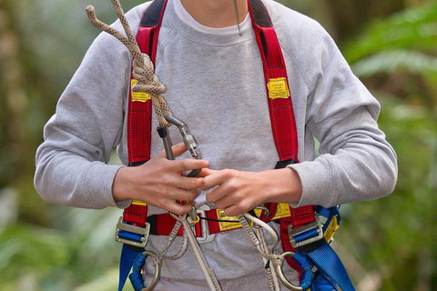 Adventure Sunset Three Day Great Ocean Road Tour - Winery Find 5