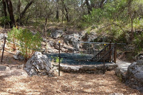 Ngilgi Cave Semi-guided Tour - Winery Find 4