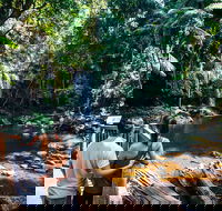 Aquaduck  Your choice of Gold Coast Rainforest Tour - Winery Find