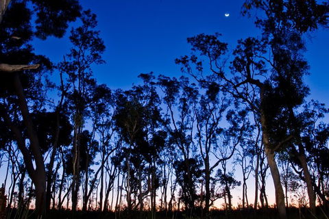 Small-Group Kangaroo Island 4WD Night Tour - Winery Find 2