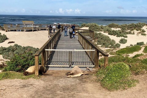 Kangaroo Island 4WD Tour - Best Of KI - Winery Find 2