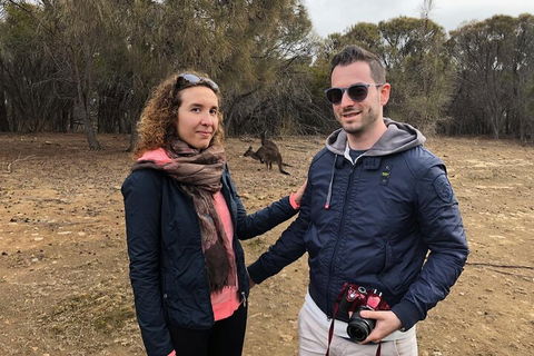 Kangaroo Island 4WD Tour - Best Of KI - Winery Find 3