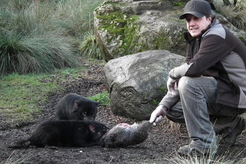 After Dark Tasmanian Devil Feeding Tour At Cradle Mountain - Winery Find 2