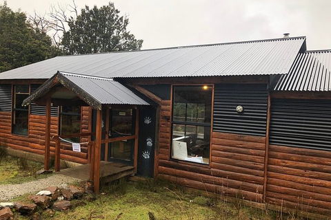 After Dark Tasmanian Devil Feeding Tour At Cradle Mountain - Winery Find 3