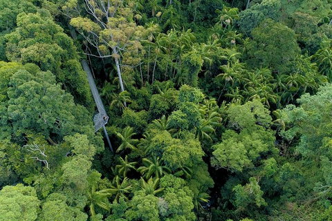 Natural Bridge, Skywalk And Mt Tamborine Adventure! - Winery Find 2