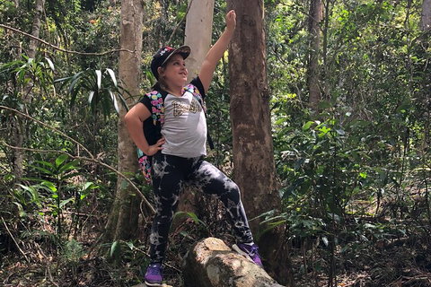 Natural Bridge, Skywalk And Mt Tamborine Adventure! - Winery Find 3