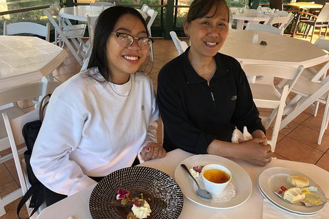 Natural Bridge, Skywalk And Mt Tamborine Adventure! - Winery Find 5