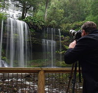 Mt Field and Styx Valley Photography Tour - Winery Find