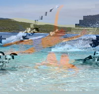 Pippies 3 Days 2 Nights Fraser Island Tour - Winery Find