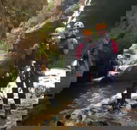 Blue Mountains Empress Canyon Adventure from Wentworth Falls - Winery Find