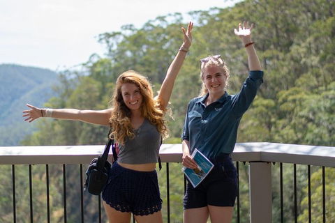 Full-Day Guided Hinterland Adventure Tour In Queensland - Winery Find 3