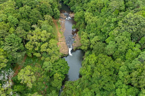 Full-Day Guided Hinterland Adventure Tour In Queensland - Winery Find 4