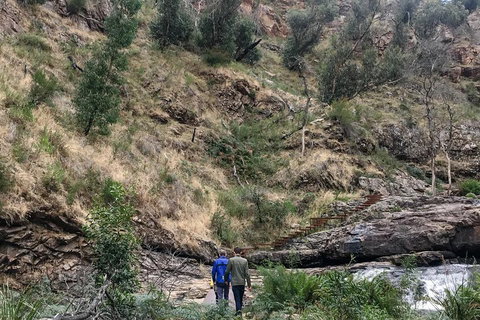 Grampians - Private Tour - Winery Find 0