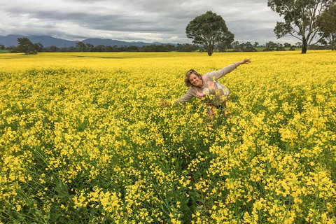 Grampians - Private Tour - Winery Find 3
