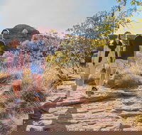 Kings Canyon Day Trip from Ayers Rock Uluru - Winery Find