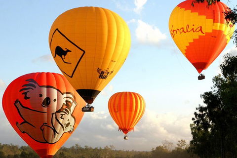 Natural Bridge & Springbrook Waterfalls Tour + Hot Air Balloon With Breakfast - Winery Find 0