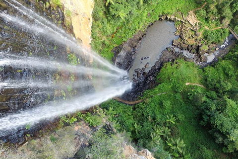 Natural Bridge & Springbrook Waterfalls Tour + Hot Air Balloon With Breakfast - Winery Find 1