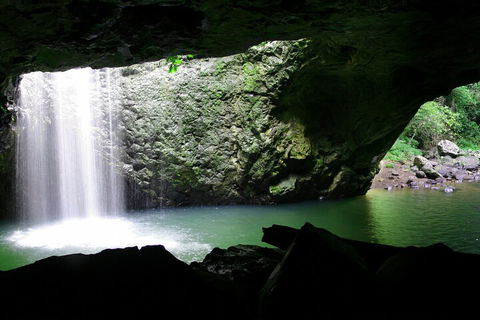 Natural Bridge & Springbrook Waterfalls Tour + Hot Air Balloon With Breakfast - Winery Find 2