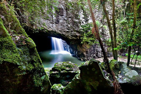 Natural Bridge & Springbrook Waterfalls Tour + Hot Air Balloon With Breakfast - Winery Find 4