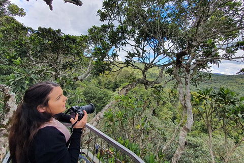 Lamington National Park, O'Reilly's & Vineyard Tour - Winery Find 1