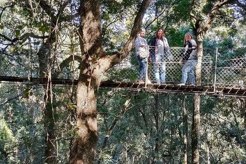 Lamington National Park, O'Reilly's & Vineyard Tour - Winery Find 2