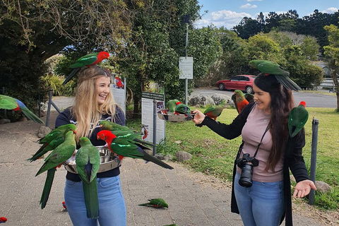 Lamington National Park, O'Reilly's & Vineyard Tour - Winery Find 5