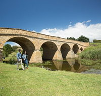 Bonorong Wildlife Park and Richmond Afternoon Tour from Hobart - Winery Find
