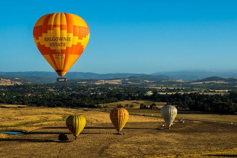 Yarra Valley Balloon Flight And Winery Tour - Winery Find 0