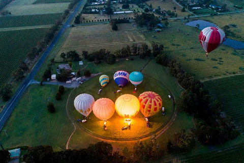 Yarra Valley Balloon Flight And Winery Tour - Winery Find 3