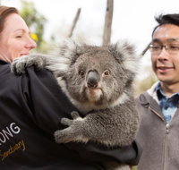 Bonorong Wildlife Park and Richmond Afternoon Tour from Hobart - Winery Find