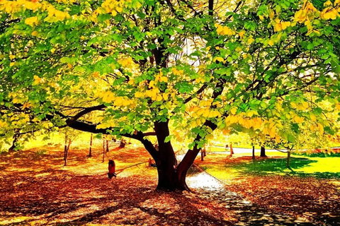Hobart Half-Day Sightseeing Coach Tram Tour - Winery Find 3