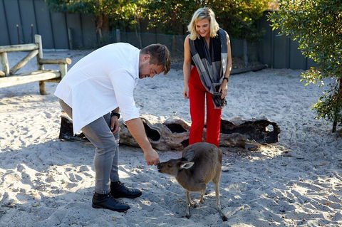 Albany's Whale Story - Winery Find 1