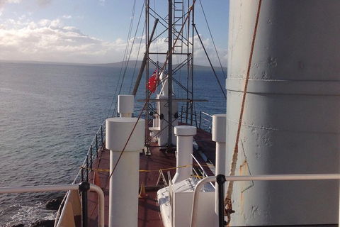 Albany's Whale Story - Winery Find 2